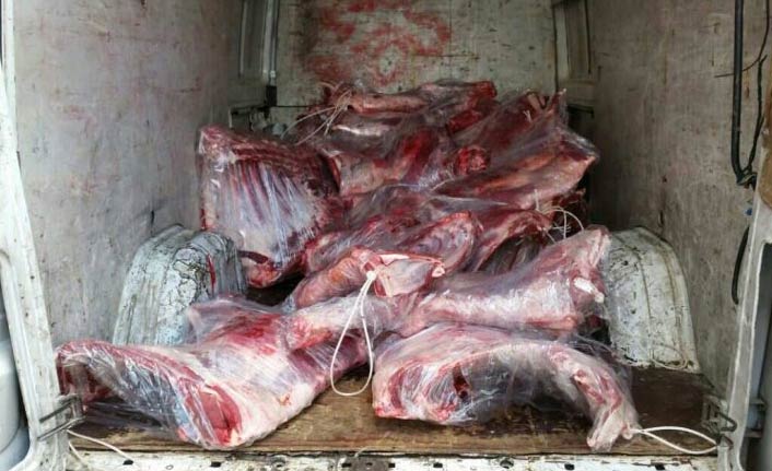 12 ton kaçak et ele geçirdi