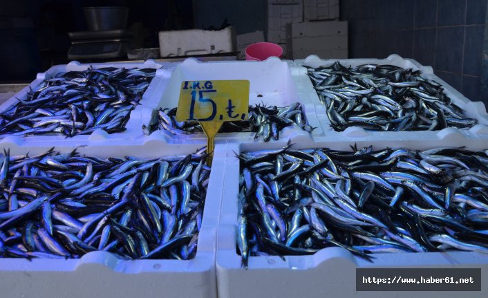 Trabzon'da balık fiyatları sürekli değişiyor