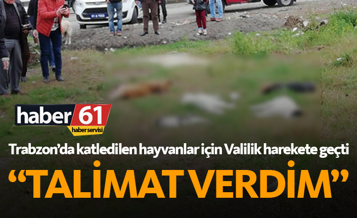 Katledilen hayvanlar için Trabzon Valiliği de harekete geçti!