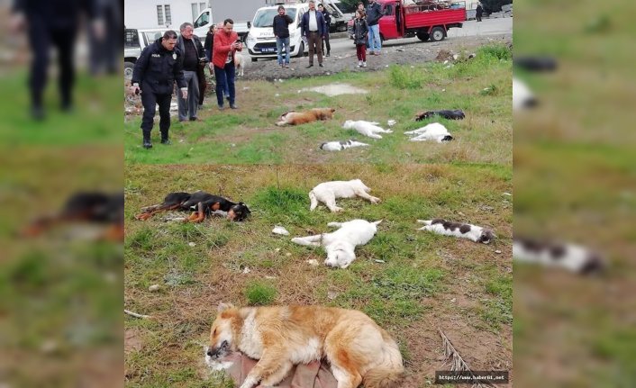 Akçaabat Belediye Başkanından suçlamalara tepki