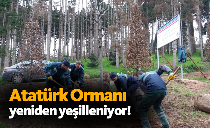 Atatürk Köşkü Ormanı yeşilleniyor