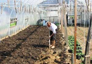 Ordu'da Seracılık Bir Sektör Oldu