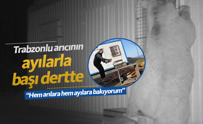 Trabzon'da arıcının başı ayılarla dertte