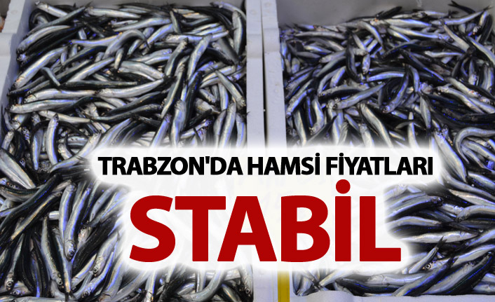 Trabzon'da Hamsi fiyatları değişmedi