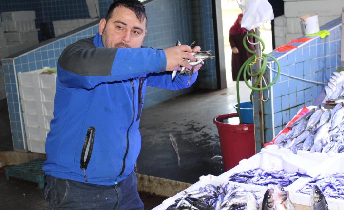 Tezgahta hamsinin yerini istavrit aldı