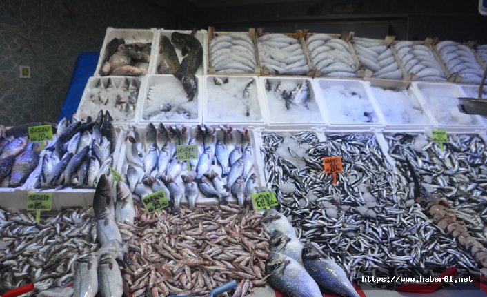 Hamsinin fiyatı el yakıyor