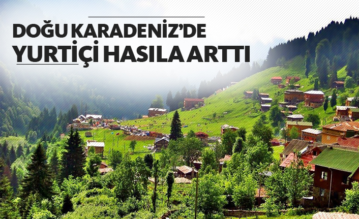 Doğu Karadeniz’de yurtiçi hasıla arttı