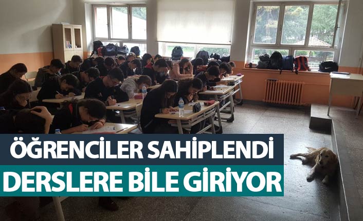 Trabzon'da derslere giren 'Şila' okulun maskotu oldu