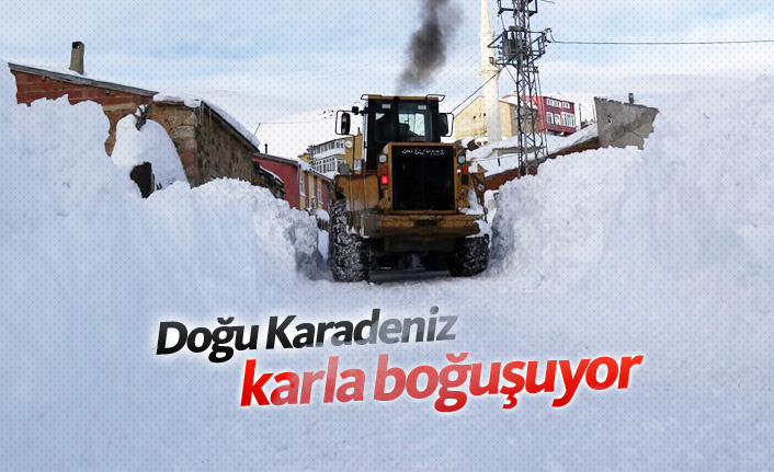 Doğu Karadeniz karla mücadele ediyor