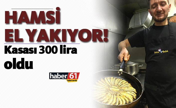 Hamsi el yakıyor! Kasası 300 Lira oldu
