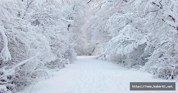 Donmak üzere olan 50 kişi kurtarıldı 