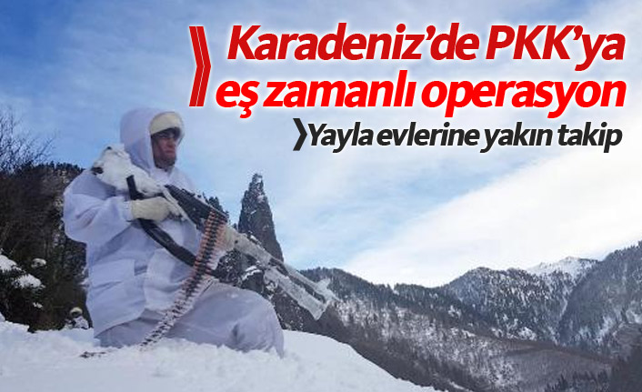 Karadeniz'de PKK'ya eş zamanlı operasyon