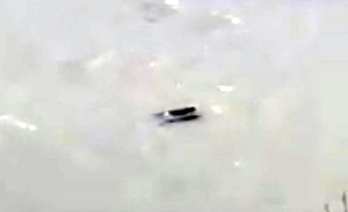 Nesli tükenmekte olan 3 su samuru görüldü