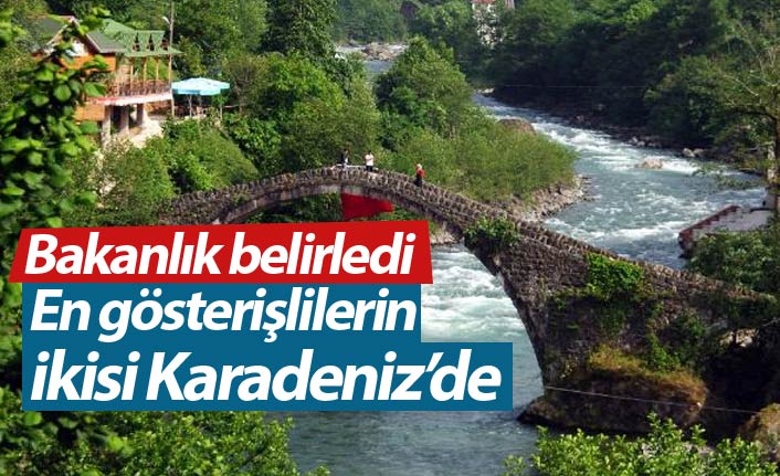 Türkiye'nin 13 gösterişli köprüsünden ikisi Karadeniz'de