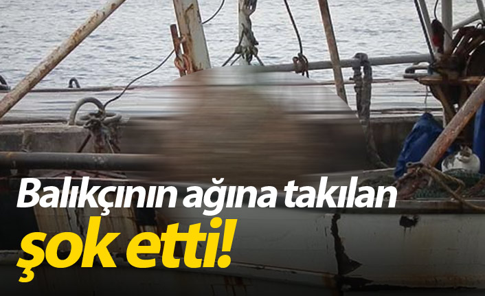 Balıkçının ağına takılan şok etti