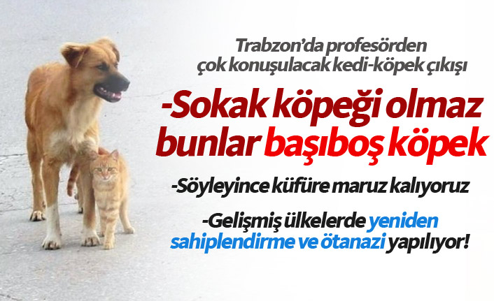 Trabzon'dan dikkat çeken çıkış; Sokakta köpek olmaz, bunlar başıboş köpek