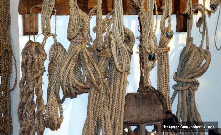 Kenevir üretimi yeniden başlıyor