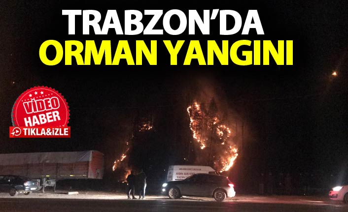 Çaykara Işıklı’da Orman Yangını Korkuttu: Alevler Kontrol Altında