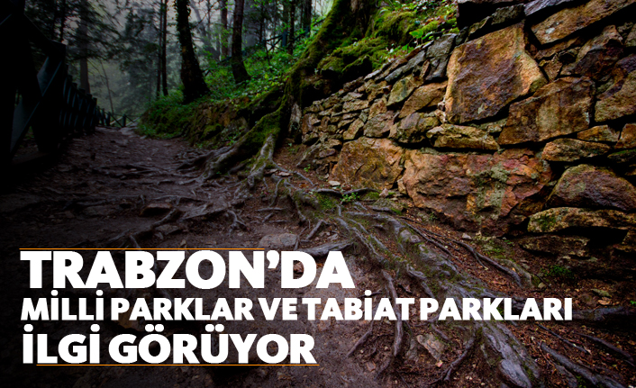 Trabzon'da milli parklar ve tabiat parkları ilgi görüyor