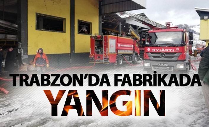 Trabzon'da çay fabrikasında yangın
