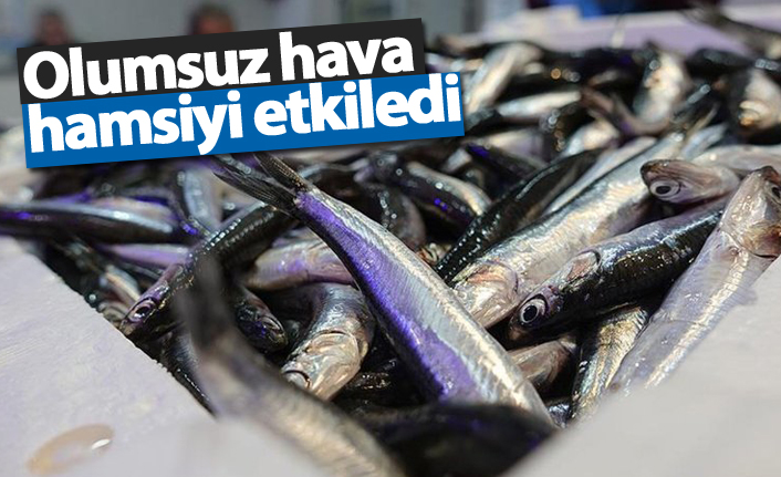 Olumsuz hava hamsiyi etkiledi