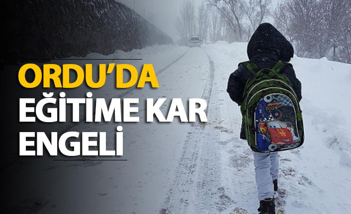 Ordu’da Yoğun Kar Yağışı Nedeniyle İki İlçede Eğitime Ara Verildi
