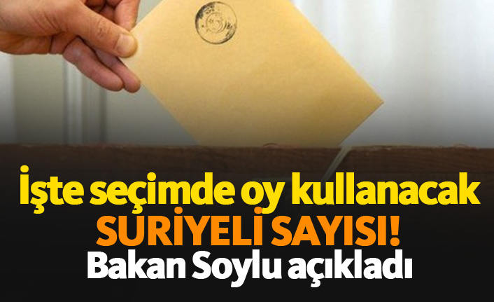 İşte seçimde oy kullanacak Suriyeli sayısı
