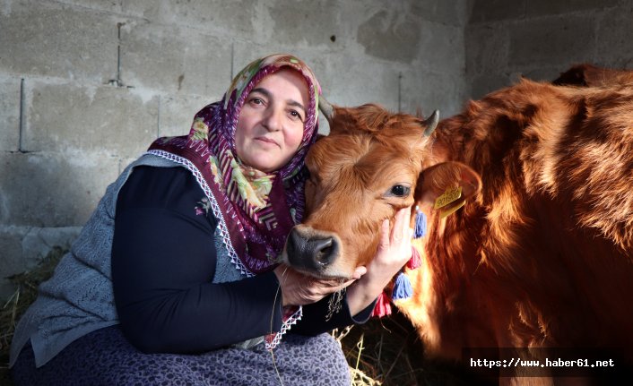 Düvesine doğum günü yapan kadın konuştu: Belki ders çıkarırlar