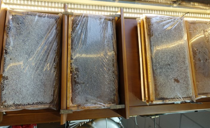 Bal ihracatından 25,5 milyonluk gelir!