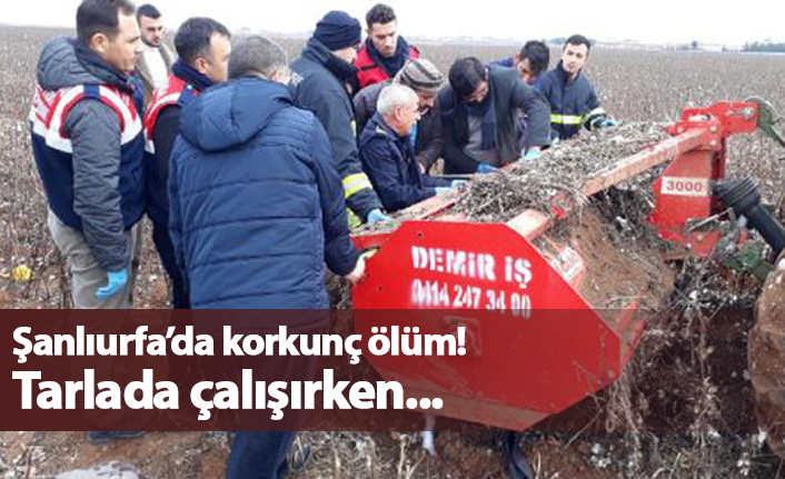 Şanlıurfa'da acı ölüm! Tarlasında çalışırken...