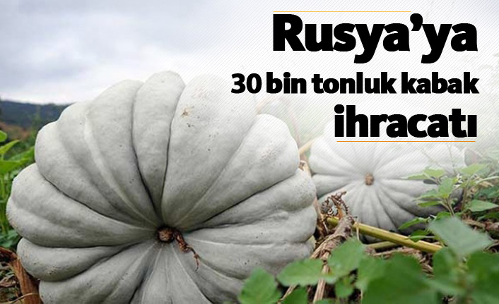 Rusya'ya 30 bin tonluk kabak ihracatı