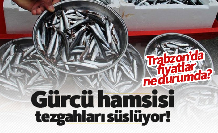 Gürcü hamsisi tezgahları süslüyor