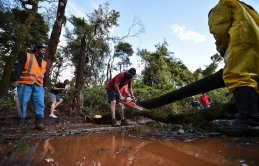 Brezilya’da ölü sayısı 99’a yükseldi 