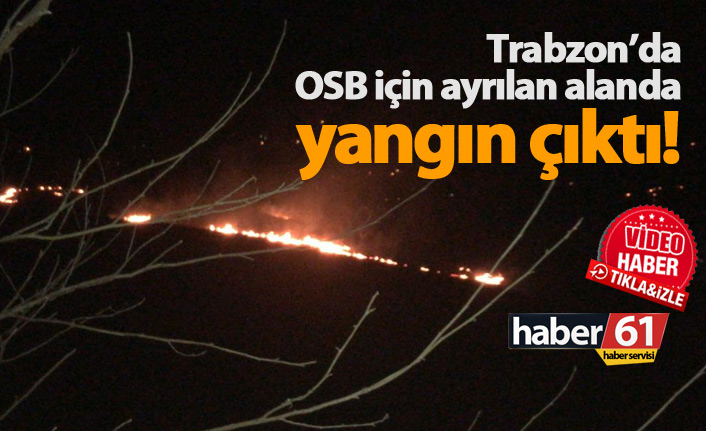 Vakfıkebir'de OSB alanında yangın