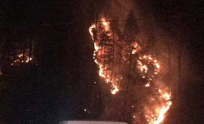 Kış aylarında orman yangını şoku