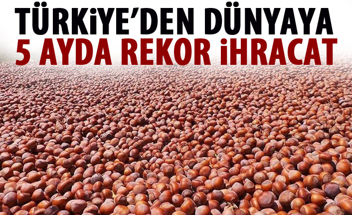 Türkiye'den dünyaya rekor fındık ihracatı