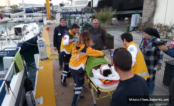 Köpeklerin saldırısına uğrayan çocuk ağır yaralandı