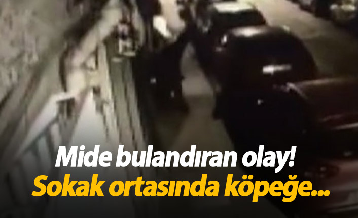 İstanbul'da sokak ortasında köpeğe tecavüz!