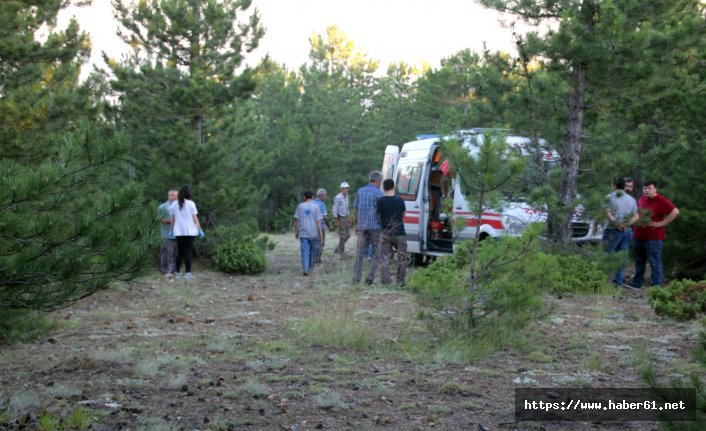 Talihsiz işçi ağaçtan düşüp öldü!