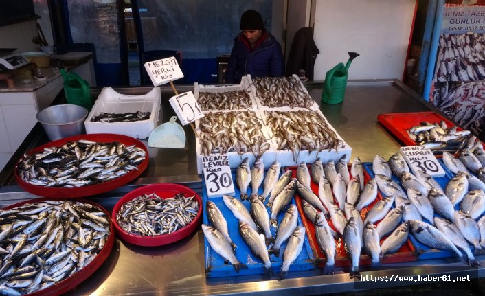 Karadenizli hamsiye hasret kaldı!