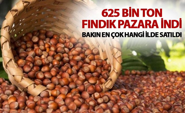 625 bin ton fındık pazara indi - Bakın en çok hangi ilde satıldı
