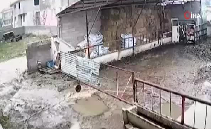 Köpeği yerde sürükleyip çöp kamyonuna attı!