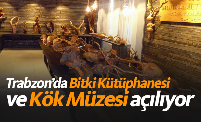 Trabzon'da Bitki Kütüphanesi ve Kök Müzesi açılıyor