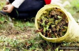 Trabzon'da fındık ve kivi üreticisine uyarı