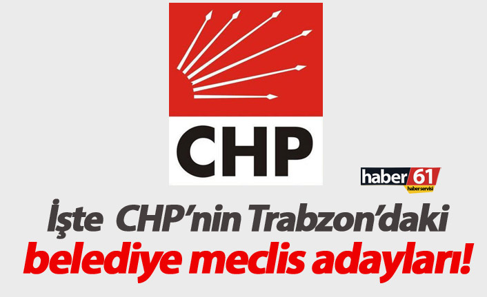 CHP belediye meclis adayları belli oldu. 14.02.2019