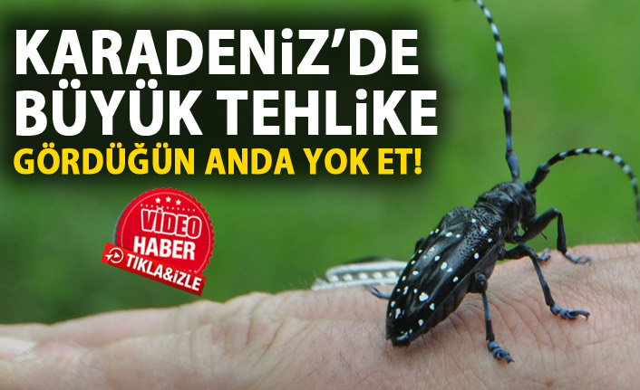 Karadeniz'de tehlike! Gördüğün anda yok et!