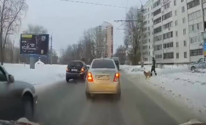 Köpeğin imdadına polis yetişti