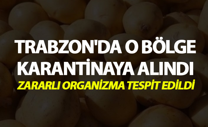 Trabzon'da o bölge karantina altına alındı - Zararlı organizma tespit edildi