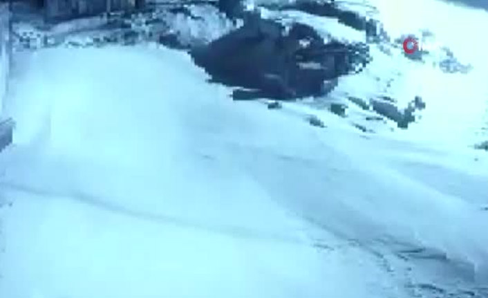 Kurtlar aç kalınca köye indi, köpeğe saldırdı