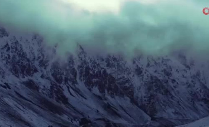 Yaban hayvanları fotokapana yakalandı